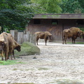 DSC00295