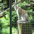 DSC00300
