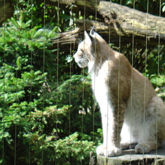 DSC00301