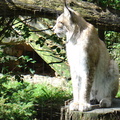 DSC00302