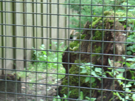 DSC00303