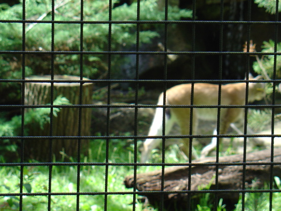 DSC00304