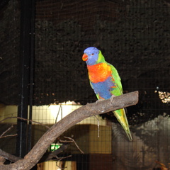 DSC00309