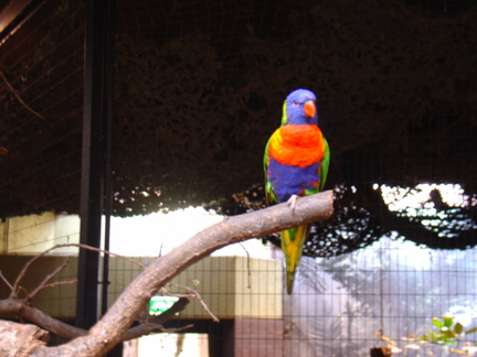 DSC00310