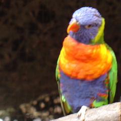 DSC00311