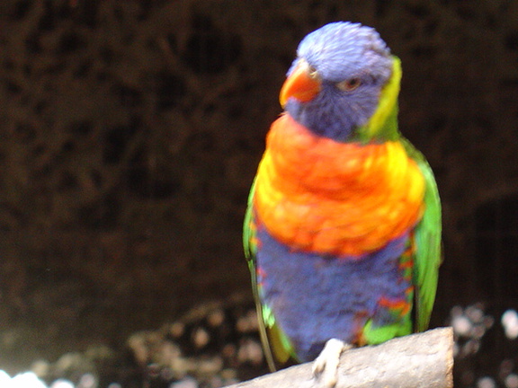 DSC00311