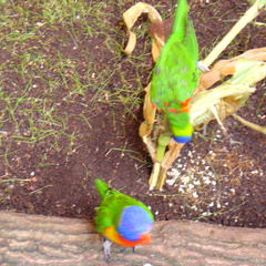 DSC00312