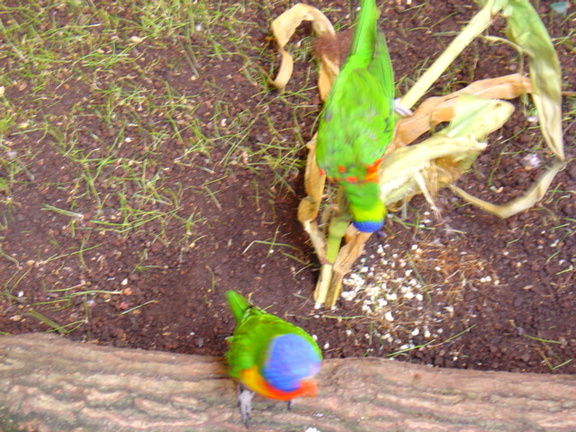DSC00312