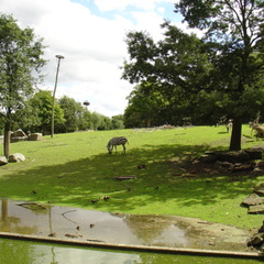 DSC00315