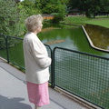 DSC00317