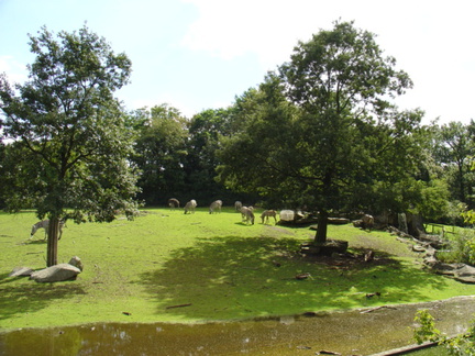 DSC00318