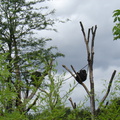 DSC00336