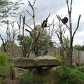 DSC00340