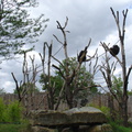 DSC00341