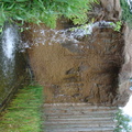 DSC00342