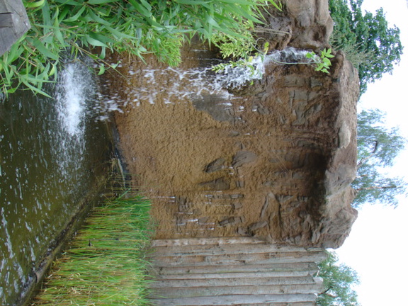 DSC00342