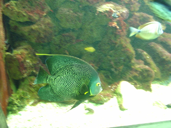 DSC00345