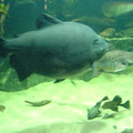 DSC00348