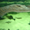 DSC00349