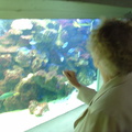 DSC00350