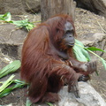 DSC00360