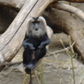 DSC00361