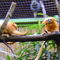 DSC00362