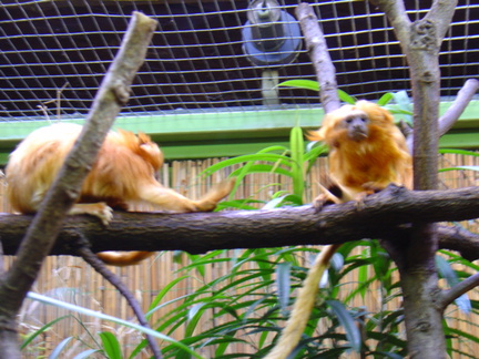 DSC00362