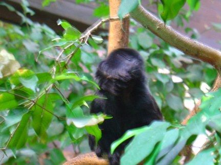DSC00364