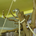 DSC00365
