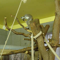 DSC00365