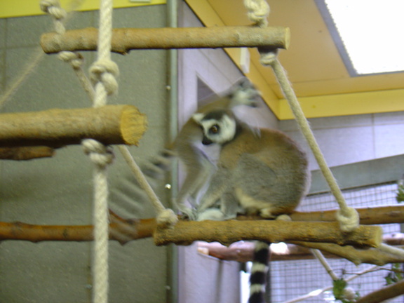 DSC00366