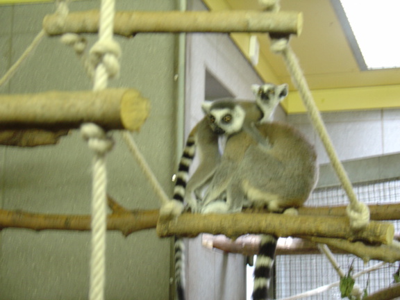 DSC00367