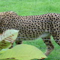 DSC00372