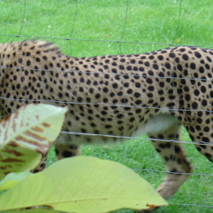 DSC00372