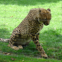 DSC00374