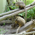 DSC00378