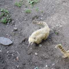 DSC00379