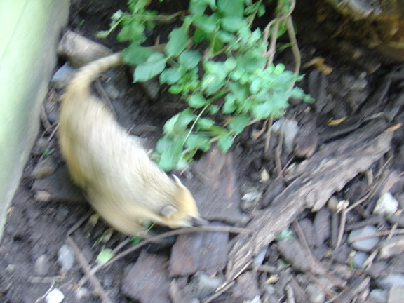 DSC00380
