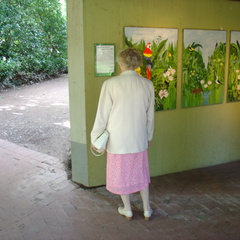 DSC00385
