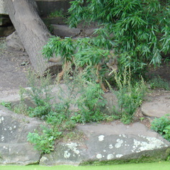 DSC00389