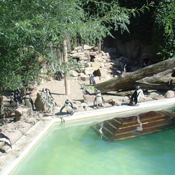 Zoo, Mühlenhof