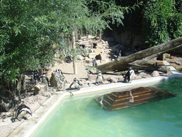 Zoo 2008