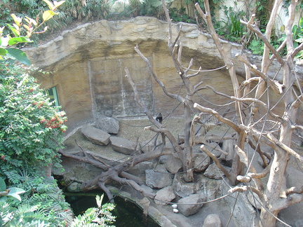 DSC05197