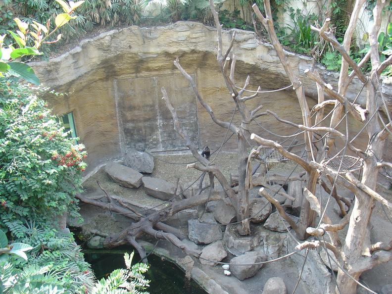 DSC05197