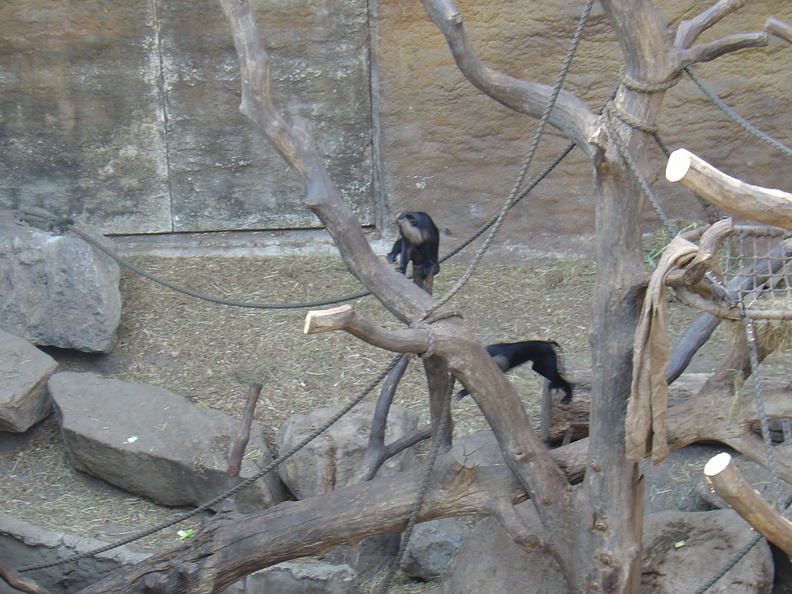 DSC05198.JPG