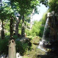 DSC05200