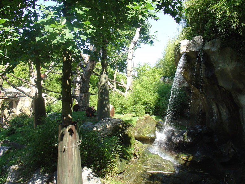 DSC05200