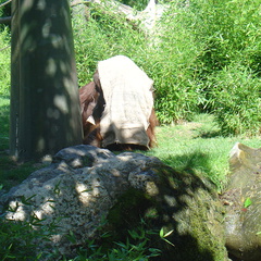 DSC05202