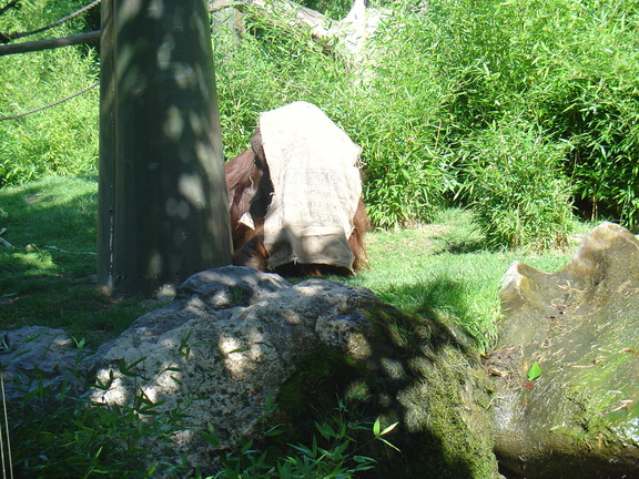 DSC05202